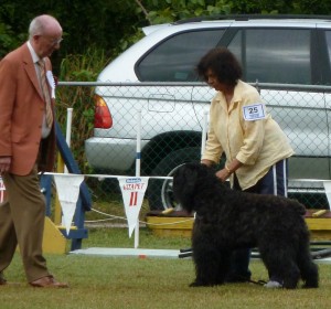 dogshowmarch2011 005