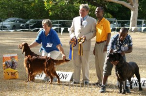 Peter Jolley's Best in Show winners