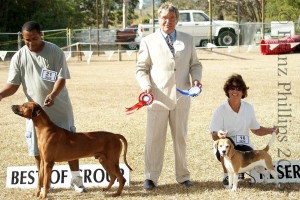 Peter Jolly and Hound Winners