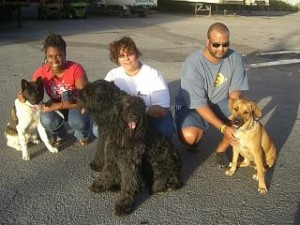 Lisa White's Basic Obedience class