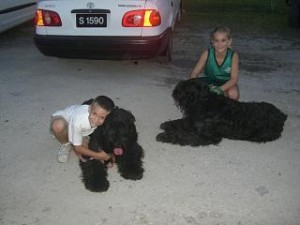 bouvschildren Bouviers with children