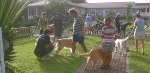 dogwalkjune1 dogwalkjune1