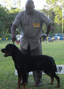 Best_Working Winner Working Group - Rottweiler