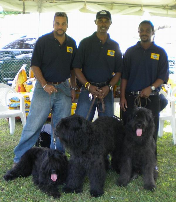 HIL_Bouviers1 Bouviers with new friends