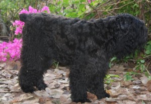 RtaJan2010 Rita in January, 2010