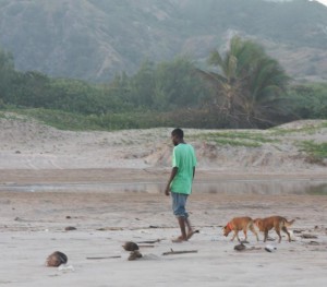 2Dogs_LondPong Boy and two dogs walking the beach