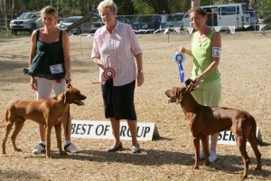 Best_Houndgroup10 Rhodesian Ridgebacks win Hound Group