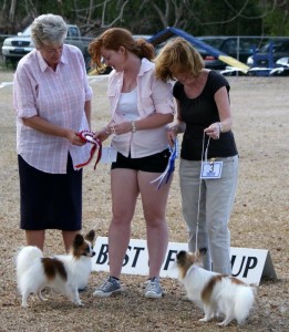 Best_Toy10 Papillons win Best in Toy Group