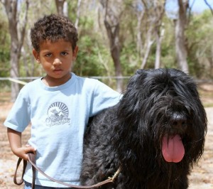 Rita_and_child Rita, a Bouvier, with a child