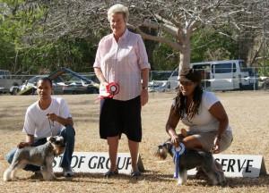 utilitygroup_winners Utility group winners at dog show