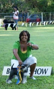 BISNov Best in Show dog, Miniature Schnauzer and handler