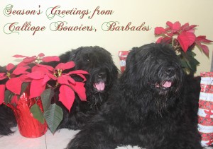 Season's Greetings, Xmas 2010