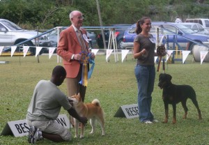 Best and Reserve Best in Show with Albert Wight