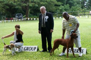 winners of the Hound Group
