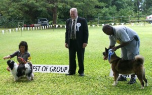 winners of the utility group