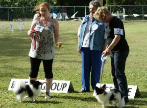 Toy Group Winners, March 2012