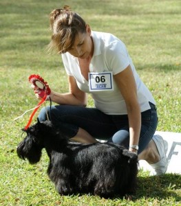 Terrier Group Winner March 2012