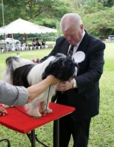 Tibby with UK judge Robin Searle