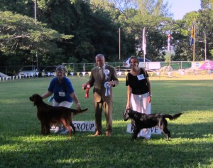 Gundog Group winners