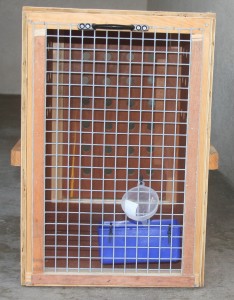 Crate accepted by airlines for shipping dogs