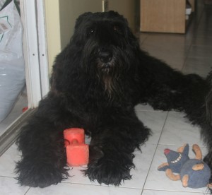 Rita3