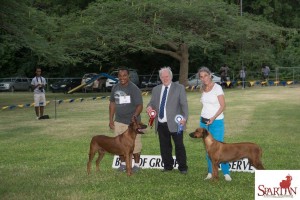 Hound Group winners