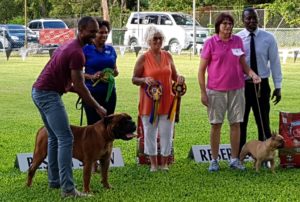 Best in Show and Reserve Best in Show winners at October show in Barbados
