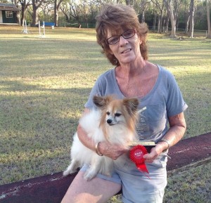 Sue and Swift and Utility dog title