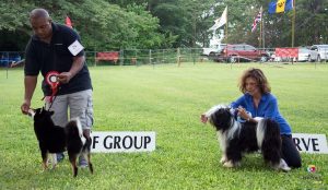 winners at dog show in Barbados